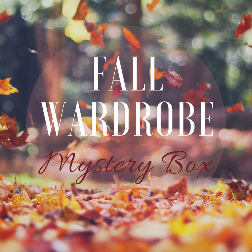 $250+ Fall Mystery Box NWT